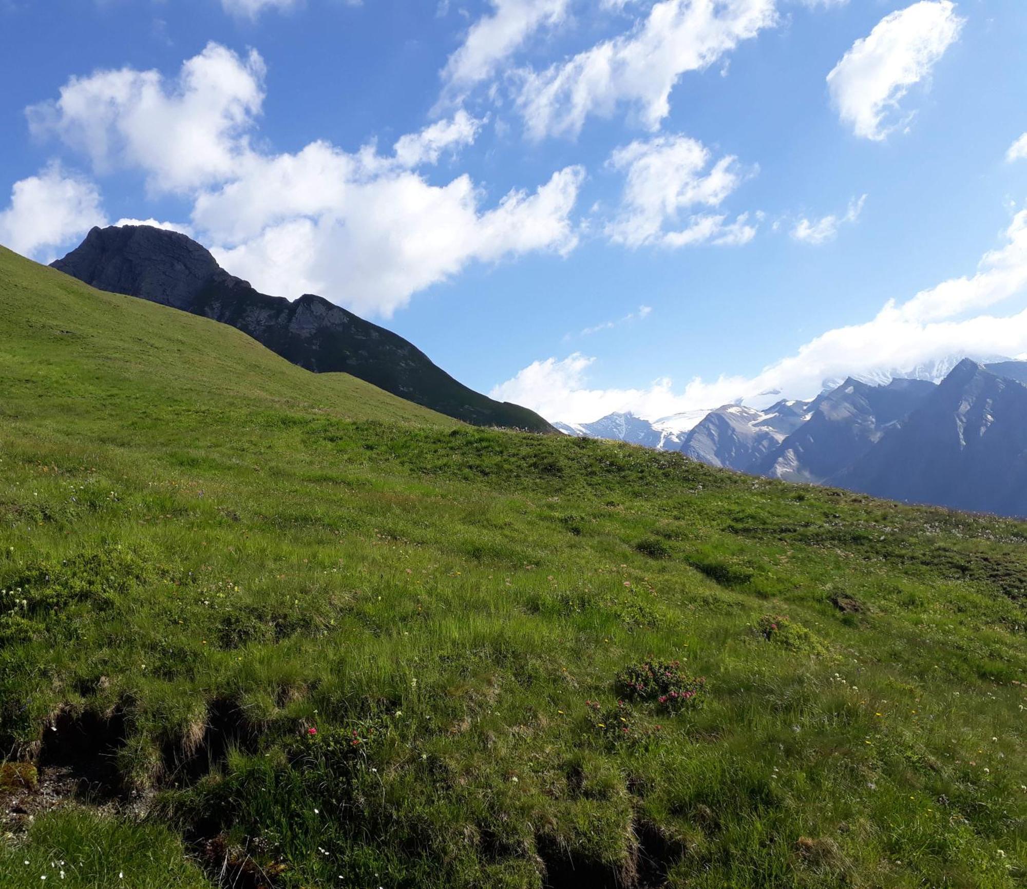 Sonnenhof Appartement Kals-am Großglockner Buitenkant foto
